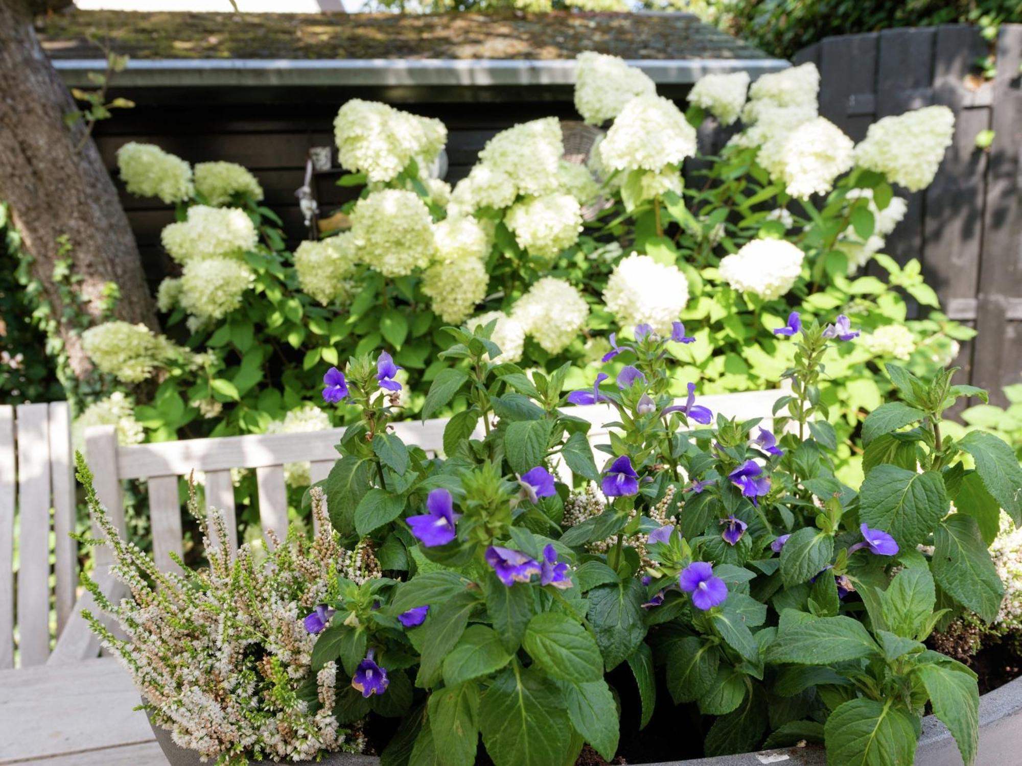 Alluring Apartment In Bergen With Terrace Garden And Bbq Eksteriør billede
